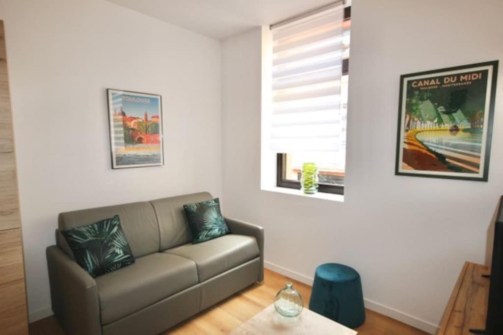 Appartement Au Gout Du Jour Climatise à Toulouse Extérieur photo